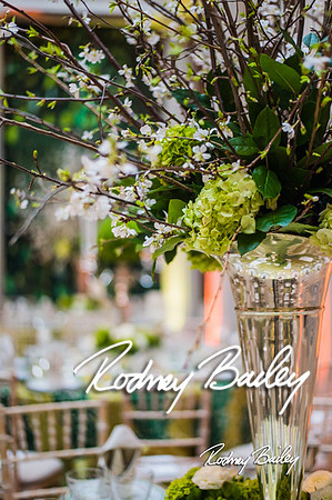 4-25-14 CORCORAN BALL DECOR_Rodney Bailey Photography_EventPhotojournalism_0323
