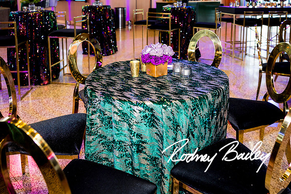 0106__8-2-25_Damien-Dwin-Celebration-National-Museum-of-African-American-Museum-Washington-DC-event-Rodney-Bailey-Photography