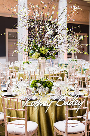 4-25-14 CORCORAN BALL DECOR_Rodney Bailey Photography_EventPhotojournalism_0003