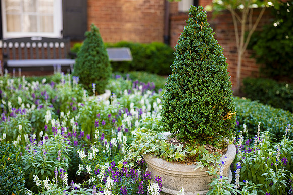 0005__Well-Dunn-Catering-Decatur-House-Washington-DC-Rodney-Bailey-Photography