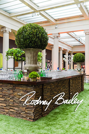 4-25-14 CORCORAN BALL DECOR_Rodney Bailey Photography_EventPhotojournalism_0480
