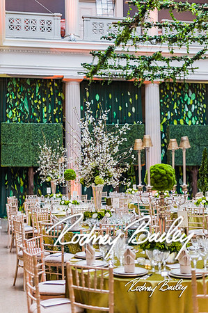 4-25-14 CORCORAN BALL DECOR_Rodney Bailey Photography_EventPhotojournalism_0231