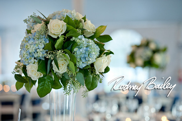 Oatlands Historic House and Gardens Weddings_wedding photography Oatlands Historic House and Gardens Virginia_Oatlands Historic House and Gardens Leesburg Virginia Wedding Photographer