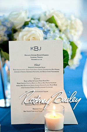 Oatlands Historic House and Gardens Weddings_wedding photography Oatlands Historic House and Gardens Virginia_Oatlands Historic House and Gardens Leesburg Virginia Wedding Photographer